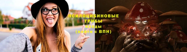тгк Беломорск