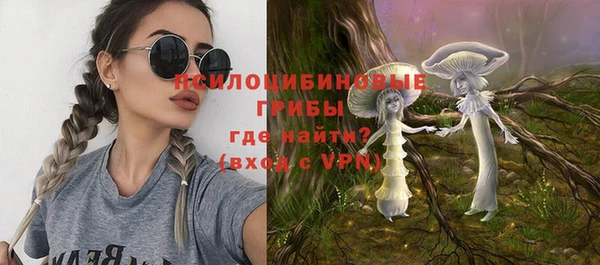 ешки Балахна